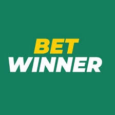 A Comprehensive Guide to Betwinner Login