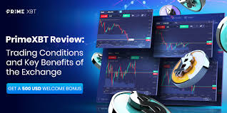 Deposit PrimeXBT Guida Completa ai Metodi di Deposito e Prelievo Deposit PrimeXBT Guida Completa ai Metodi di Deposito e Prelievo
