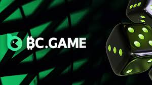 Comprehensive Guide BC.GAME Faq